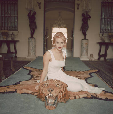 Woman in Elegant Room with Tiger Rug Wall Art