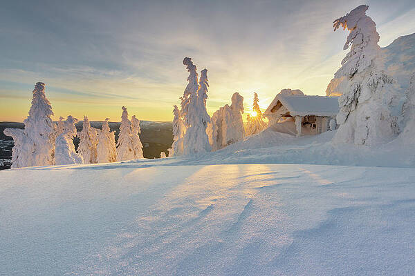 Germany Wall Art featuring the digital art Germany, Bavaria, Lower Bavaria, Bavarian Forest, Bohemian Forest, Bayerisch Eisenstein, Small Chapel And Snow-covered Spruces On The Grober Arber by Cornelia Dorr