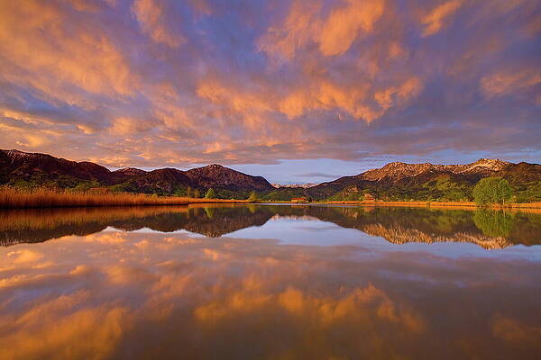 Atmospheric Wall Art featuring the digital art Germany, Bavaria, Morning At Lake by Bernhard Fichtl