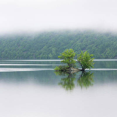 Small Digital Art - Germany, Hessen, Small Island In The Edersee Also Called Ederstausee With Oak Trees In The Morning Mist by Andreas Vitting