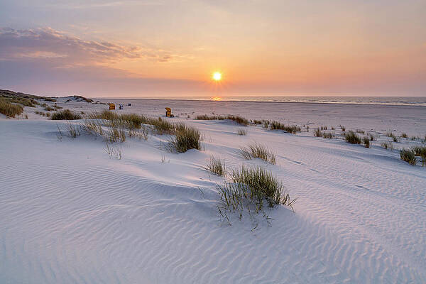 Germany Wall Art featuring the digital art Germany, Lower Saxony, Juist, North Sea, East Frisian Islands, Ostfriesische Inseln, East Frisia, Ostfriesland, Wadden Sea, Sunset At The Beach by Christian Back