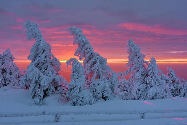 Germany Wall Art featuring the digital art Germany, Winter Landscape by Cornelia Dorr