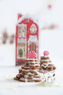 Gingerbread Biscuit Trees Decorated With Icing Sugar And Peppermint Bonbons Print