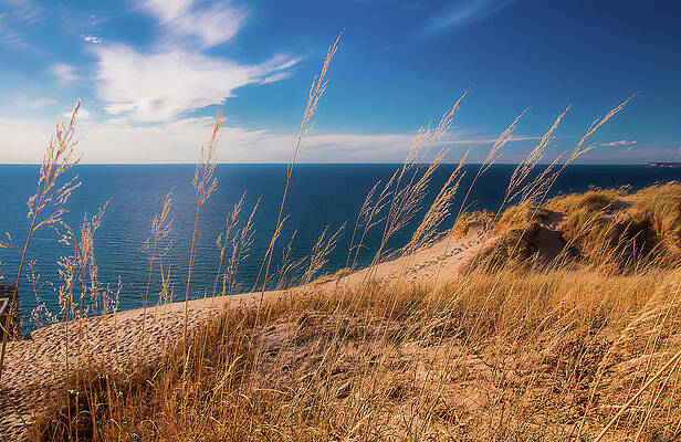 Michigan Wall Art featuring the photograph Golden Dune Grass On The Lake by Owen Weber
