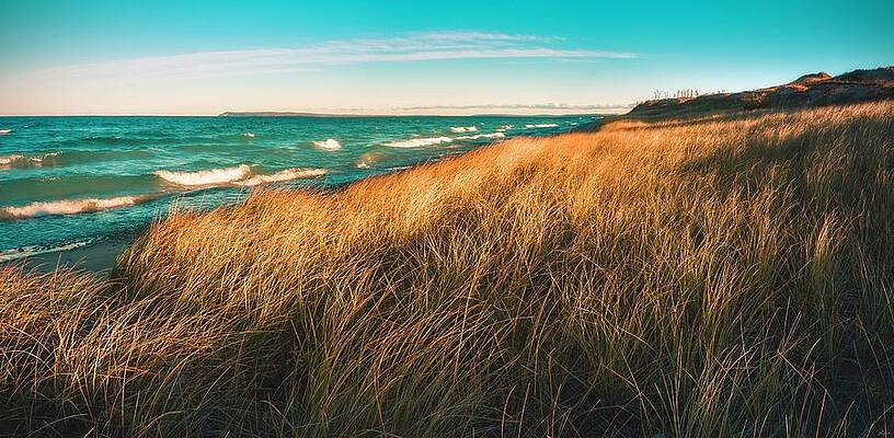 Michigan Wall Art featuring the photograph Golden Grass On The Lake by Owen Weber