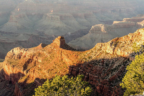 Arizona Photograph - Golden Hour At The South Rim by Douglas Wielfaert