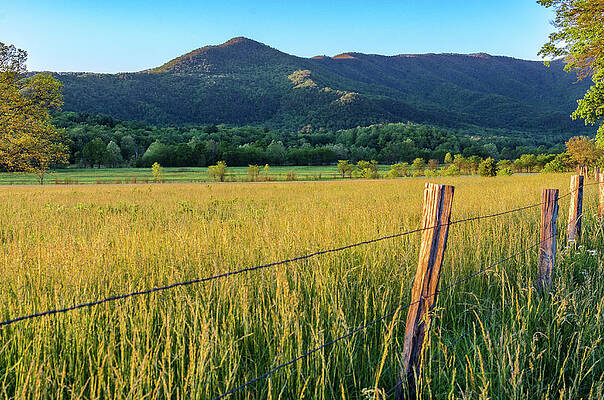 Tennessee Wall Art featuring the photograph Golden Meadow Evening by Douglas Wielfaert