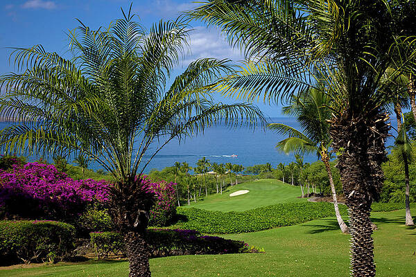 North America Wall Art featuring the digital art Golf Course, Maui, Hawaii by Hp Huber