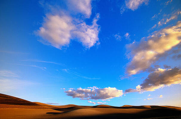 Wall Art featuring the photograph Grain Fields, Low Cumulus Clouds, Blue by Eastcott Momatiuk