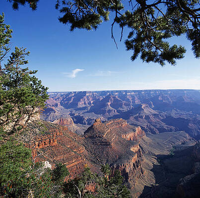 National Parks Wall Art featuring the digital art Grand Canyon, Arizona, Usa by Alberto Biscaro