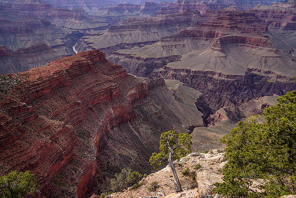 National Parks Wall Art featuring the digital art Grand Canyon N P, Arizona by Udo Siebig