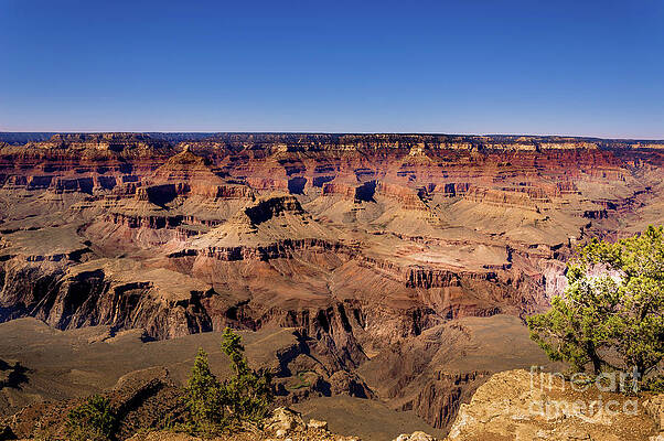 Arizona Wall Art featuring the photograph Grand Canyon South Rim #1 by Blake Webster