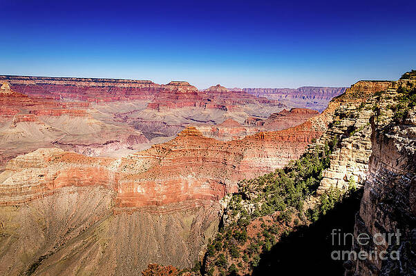 Arizona Wall Art featuring the photograph Grand Canyon South Rim #4 by Blake Webster