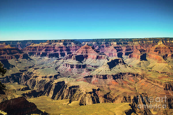 Arizona Wall Art featuring the photograph Grand Canyon South Rim #5 by Blake Webster