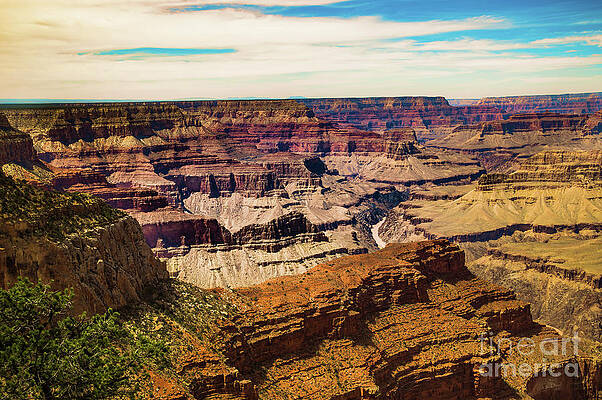 Arizona Wall Art featuring the photograph Grand Canyon South Rim #8 by Blake Webster