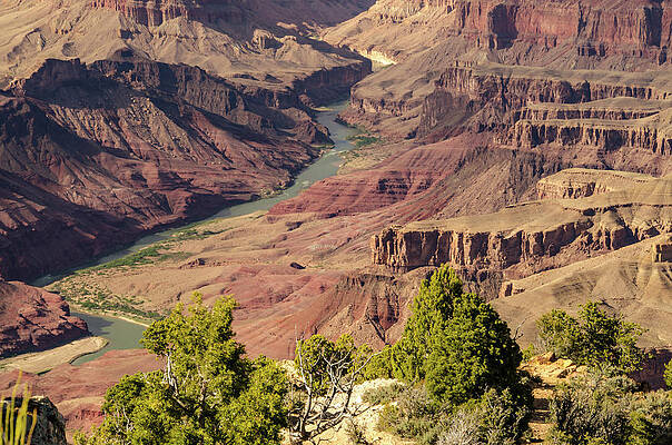 Arizona Photograph - Grand Canyon Springtime by Douglas Wielfaert