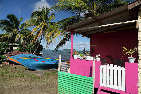 Caribbean Wall Art featuring the digital art Grenada, Caribbean, Colorful House by Tim Mannakee