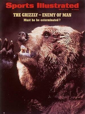 Grizzly Bear Magazine Cover Wall Art