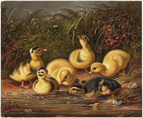Ducklings by the Pond Painting