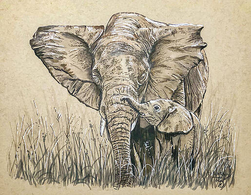 Wildlife Painting - Guidance by Mark Ray