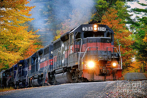 Autumn Train Journey Photograph