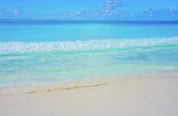 Island Wall Art featuring the photograph Half Moon Cay Beach 1 by Dawn Richards