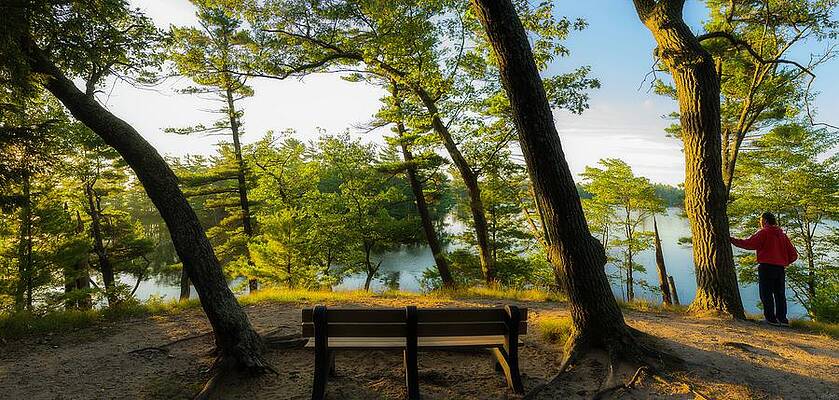 Michigan Wall Art featuring the photograph Hamlin Lake Overlook by Owen Weber