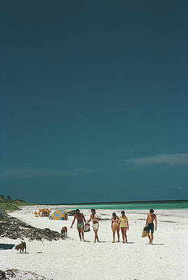Family Walking on a Sunny Beach Wall Art