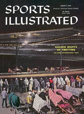 Golden Nights of Trotting Wall Art