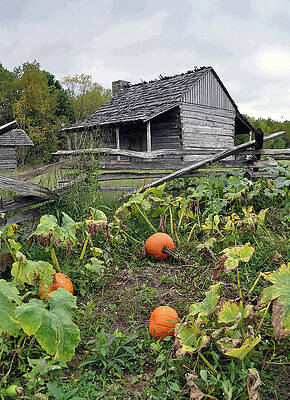 Photograph - Harvest Time by Randall Dill