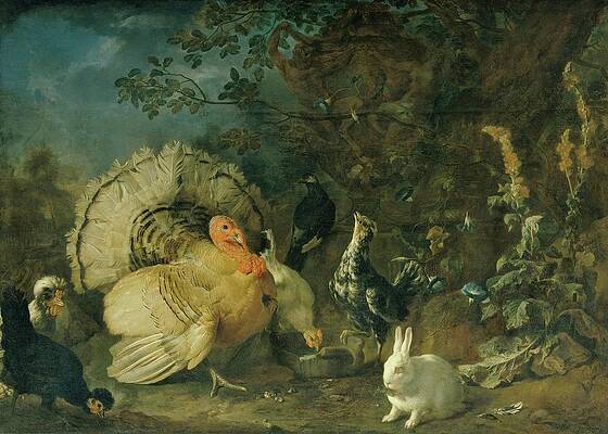 Chicken Painting - Hausgeflugel Und Kaninchen by Franz Werner Von Tamm