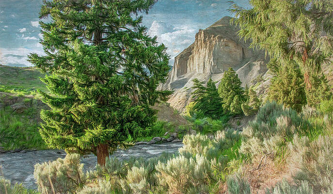 Vibrant Wall Art featuring the photograph Headed Into Yellowstone Canyon, Painterly by Marcy Wielfaert
