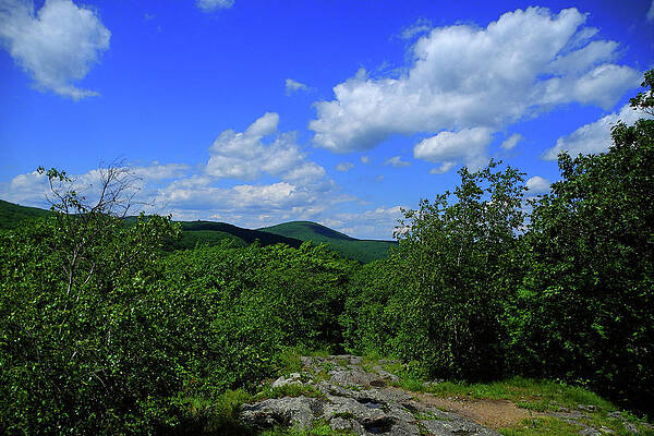Wall Art featuring the photograph Heading Bear Mountain Connecticut On The Appalachian Trail by Raymond Salani III