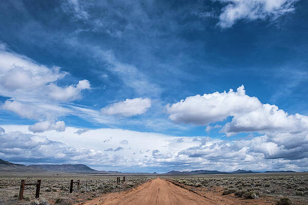 Wall Art featuring the photograph Heading North by Mary Lee Dereske