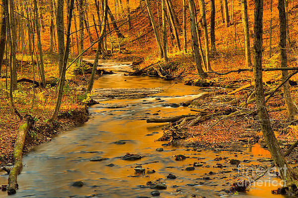 Wilderness Wall Art featuring the photograph Hells Hollow Autumn Landscape by Adam Jewell