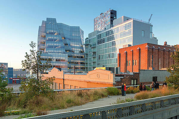 North America Wall Art featuring the digital art High Line Park, Nyc by Andrea Armellin