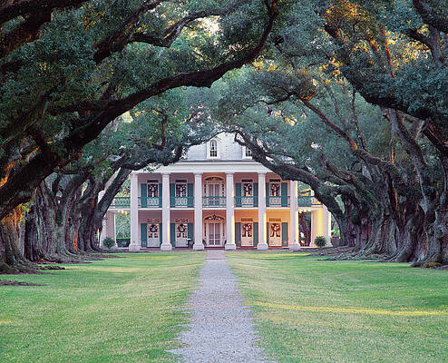 U S Wall Art featuring the digital art Historic Plantation by Massimo Ripani