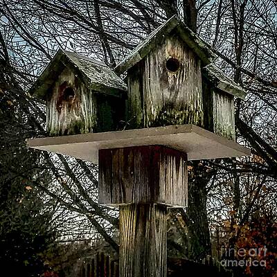 Winter Photograph - Home Awaits by William Norton