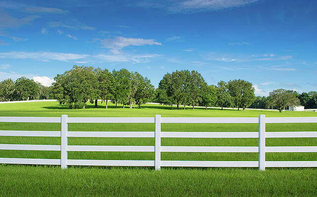 Wall Art featuring the photograph Horse Country In Ocala, Florida by Michael Warren