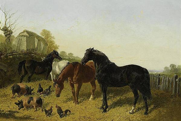 Chicken Painting - Horses And Chickens by John Frederick Herring Jr.