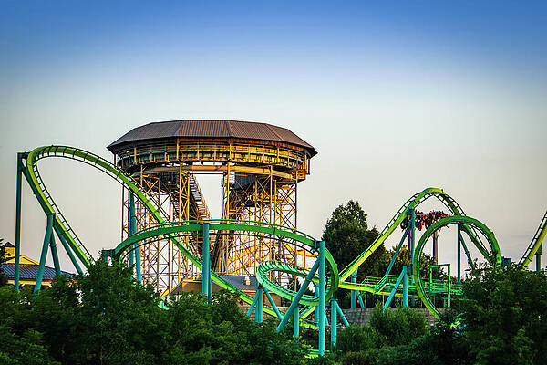 Tree Photograph - Inversions by Jason Fink