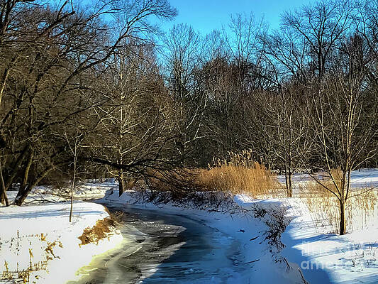 Winter Photograph - Ice Stream by William Norton