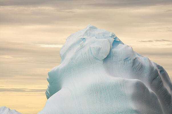 Wall Art featuring the photograph Iceberg, Cape Evensen, Antarctic by Eastcott Momatiuk