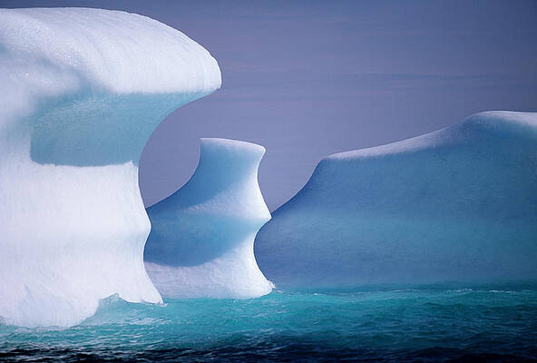 Wall Art featuring the photograph Icebergs, Close-up by Eastcott Momatiuk