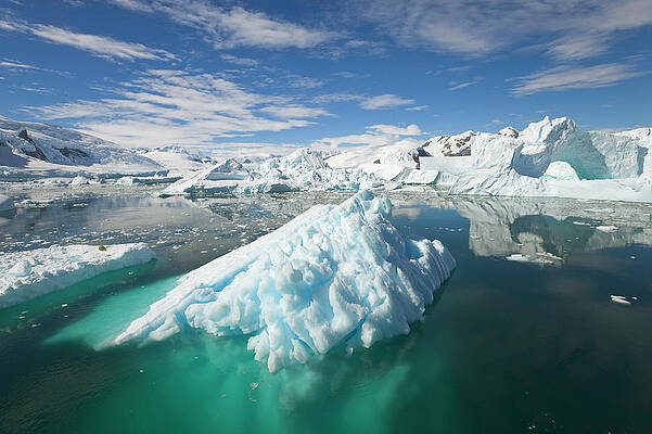 Wall Art featuring the photograph Icebergs, Collins Bay, Antarctic by Eastcott Momatiuk