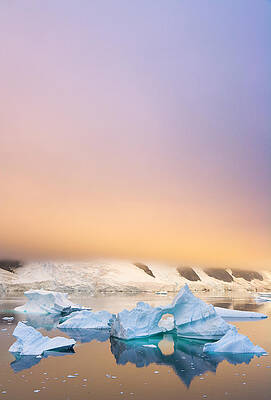Wall Art featuring the photograph Icebergs, Sunset, Antarctic Peninsula by Eastcott Momatiuk