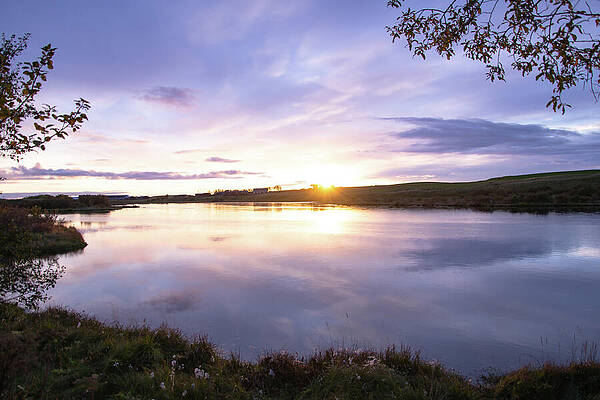 Wall Art featuring the photograph Icelandic Sunset by Rebecca Herranen