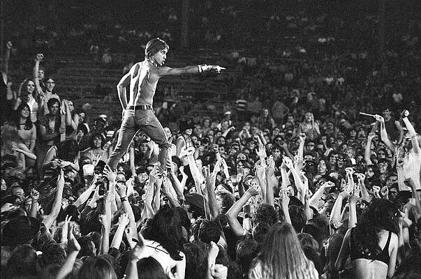 Iggy Pop Performing to a Massive Crowd Wall Art