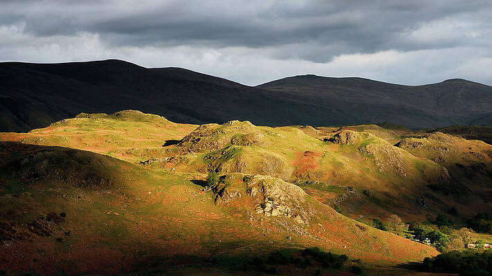 Country Wall Art featuring the photograph Illumination by Nicholas Blackwell