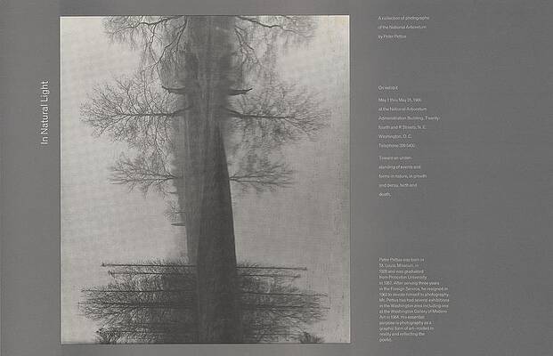 Monochrome Wall Art featuring the painting In Natural Light by Peter Pettus